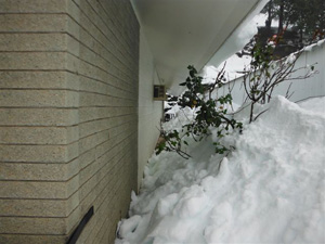 12-20-12 snow storm my house 025